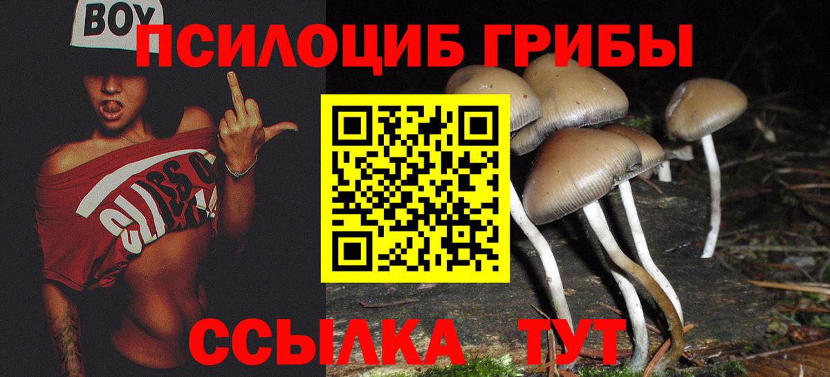 наркота  Вход с VPN  Россия  Галлюциногенные грибы ЛСД  Галлюциногенные грибы MAGIC MUSHROOMS 