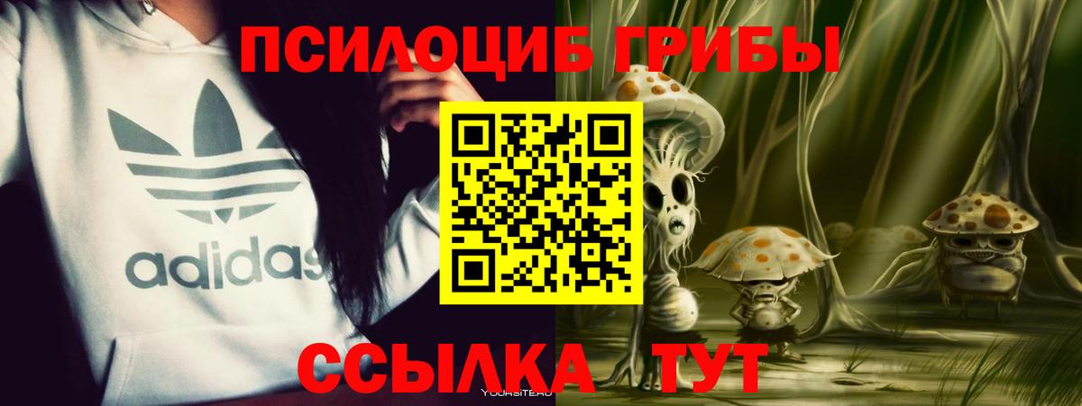Псилоцибиновые грибы прущие грибы Россия